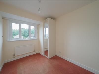 Picture 24